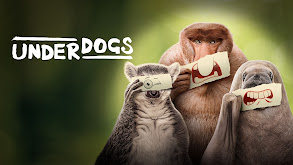 Underdogs thumbnail