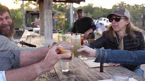 Alligator & Yaupon Tea thumbnail