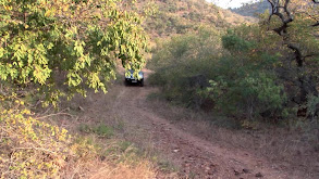 Pete Shepley - The Dark Continent thumbnail