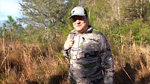 Sunshine Swine thumbnail