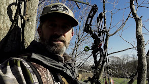 Stickers in Ohio thumbnail