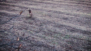 Welcome to the Grind thumbnail