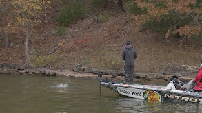 MLF All Angles - You Against the Fish thumbnail