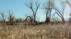 Hornady's Nebraska Lease thumbnail