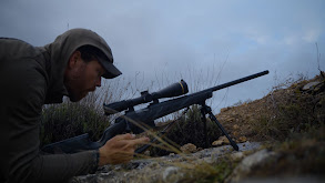 Spain Special- Roebuck Double thumbnail