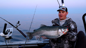 Lake Michigan's Salmon Rebound thumbnail