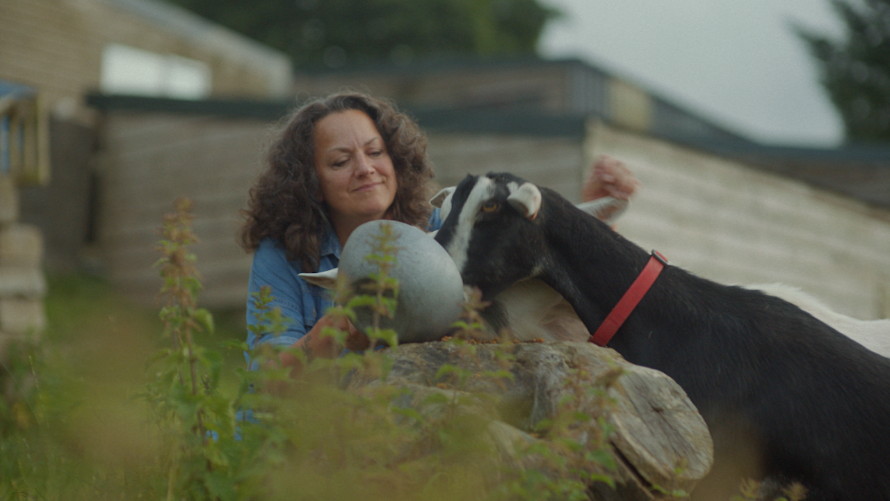 Chuckling Goat thumbnail