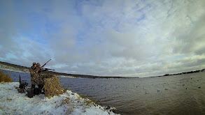 Fast & Furious Divers thumbnail