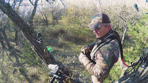 Shermoe Adventures II thumbnail