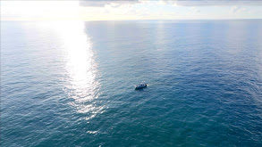 Bait Matters thumbnail