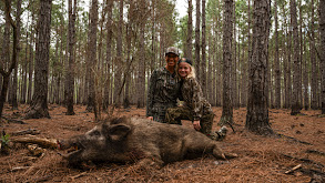 Miller Shoots a Hog thumbnail