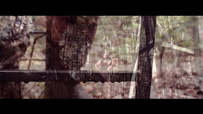 Canadian Bruin thumbnail