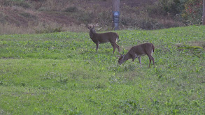 Early Season Challenges thumbnail