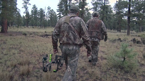 Doubling Down Pt 1 thumbnail