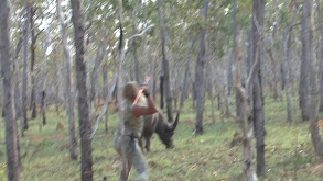 Squeak of Death thumbnail