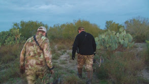 Elite Archery Score on Four thumbnail