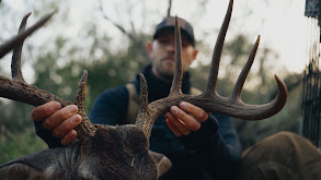South Texas Droptine Buck thumbnail