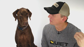 Bo Knows...Just Ask Him thumbnail