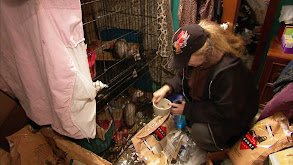 Beyond Embarrassment thumbnail