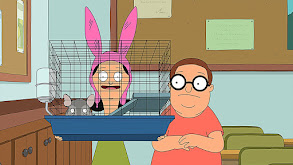 Adventures in Chinchilla-sitting thumbnail