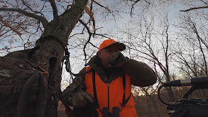 Post Rut Strategy thumbnail