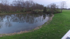 Struttin' Illinois Style thumbnail