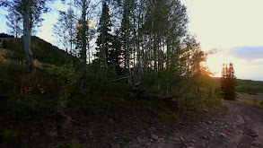 Mountain Monarch Part 2 thumbnail