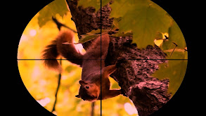 Airpower Squirrel Hunt, Show thumbnail
