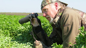 The Quickest Deer Alive! thumbnail