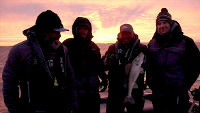 Fall Brawling: Trolling Big Cranks for Walleye thumbnail