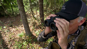 A Year Without Deer thumbnail