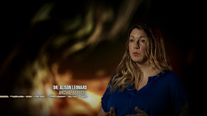 Dinosaur Island thumbnail