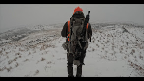 Public Land Colorado Giants thumbnail