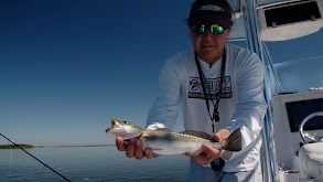 Clear Water thumbnail