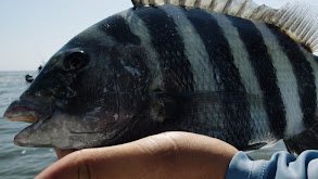 Mayport Madness thumbnail