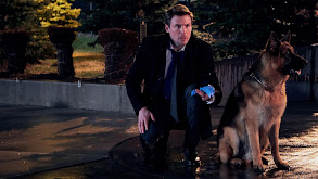 The Rex Files thumbnail