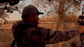 Kansas Chaos thumbnail