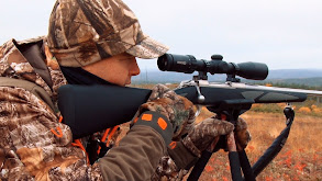 Big Moose - Big Adventure thumbnail