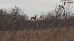 Highs and Lows: L2H 16 thumbnail