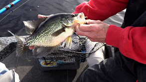 Deadly Trolling Systems for Black Crappie thumbnail