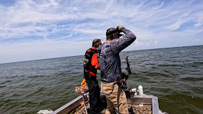 Blood in the Water 2 thumbnail