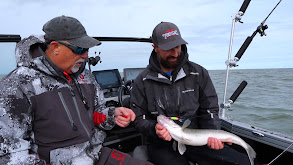 Debuting the Starfire X Trolling Rods thumbnail