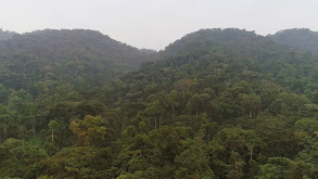 Backpacking Uganda: Part 2 thumbnail