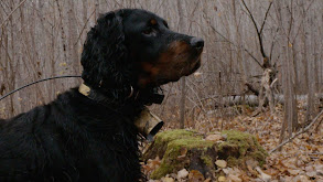 Traveling Grouse Guide thumbnail