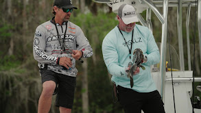 New Territory thumbnail