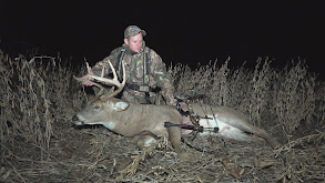 McCormick Management thumbnail