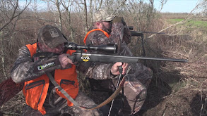 A Southern Experience thumbnail