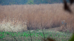 Capitalizing During October thumbnail