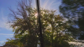 Death in the Desert thumbnail