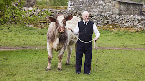 Uninvited Guests thumbnail